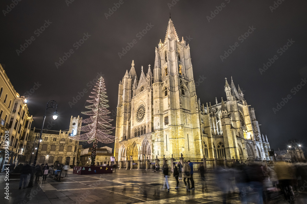 Leon Gothic cathedral rainy night reflections in the water, christmas tree and lights, Castilla Leon Spain
