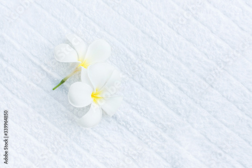 SPA White pluneria flower on white towel