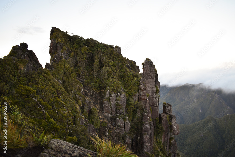 The Pinnacles cliff in Coromandel Forest Park