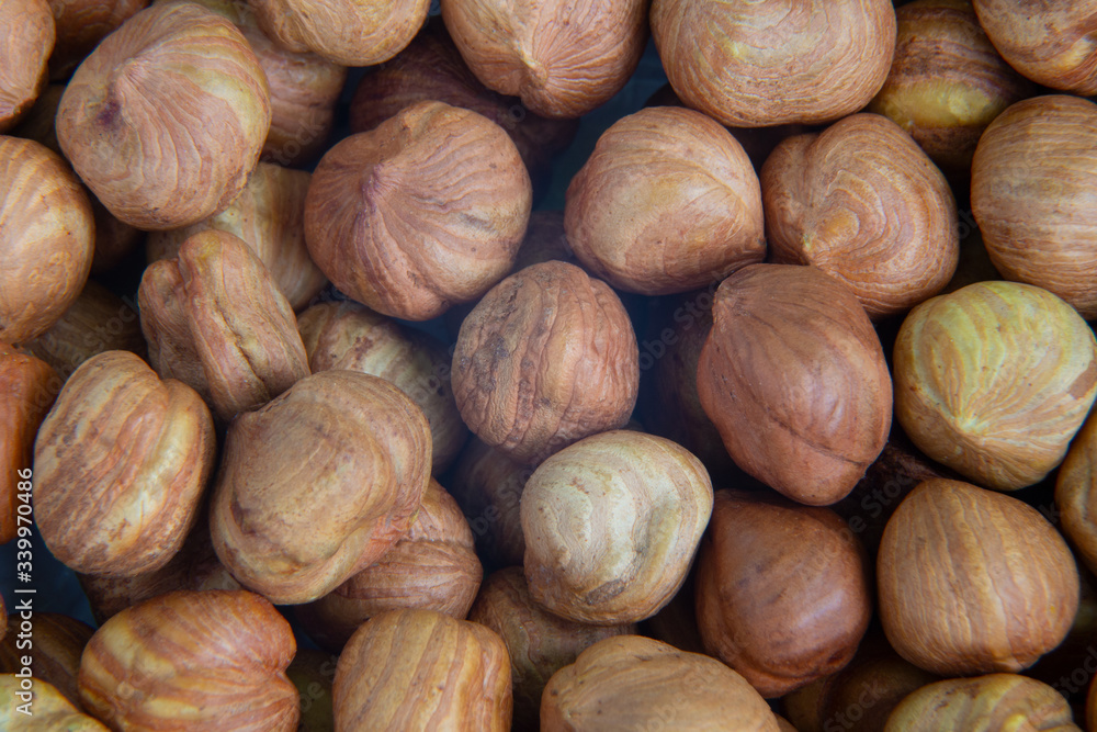 Nuts close up. Hazelnut kernels close-up lies in the sun Nuts close up. Hazelnut kernels close-up lies in the sun