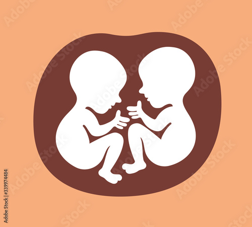 Twins - two unborn babies are in uterus of mother. Prenatal development of fetus and foetus. Vector illustration. 