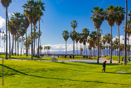 Fototapeta Naklejka Na Ścianę i Meble -  palm trees on the beach