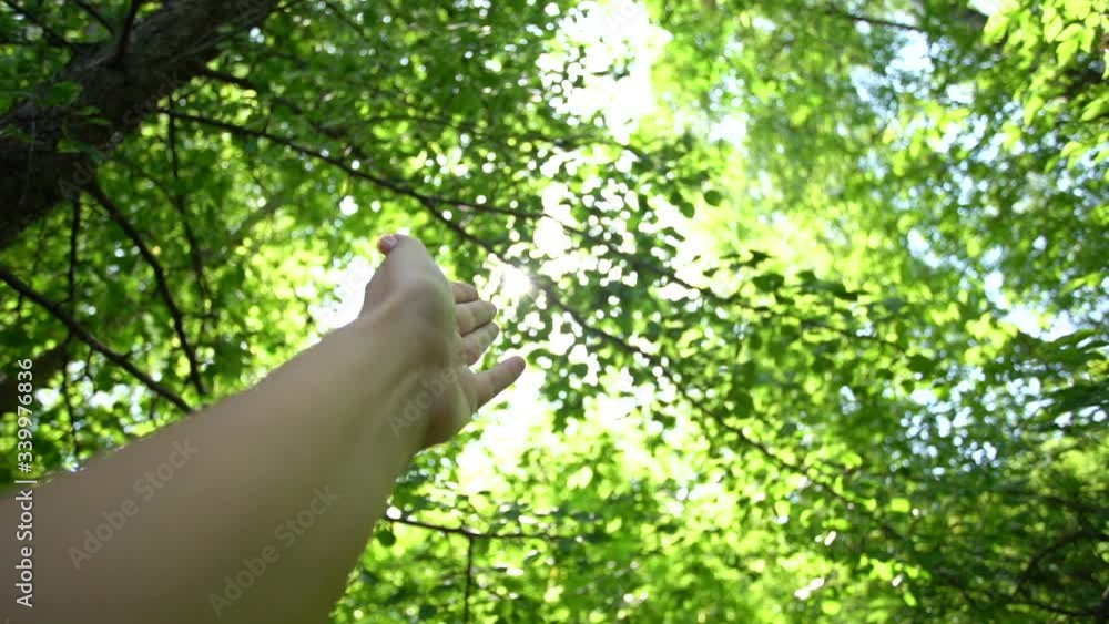 Closeup view point of view video of one beautiful female hand raised up reaching to soft sunshine of morning sun seen in blue sky. Closeup view point of view video of one beautiful female hand raised up reaching to soft sunshine of morning sun seen in blue sky.