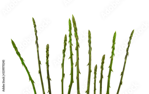 Stems of wild asparagus