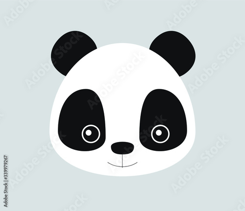 Face of a cute Panda bear with big eyes in frontal view