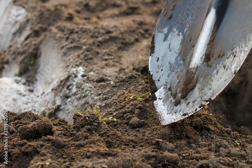 Wallpaper Mural A man in blue jeans and laced moccasins digs the ground with a shovel. Preparing a garden for spring planting vegetables Torontodigital.ca