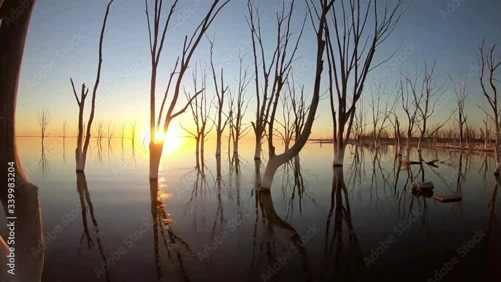 drone flying between dry trees, in an aerial shot, drone moving towards the sun. drone flying between dry trees, in an aerial shot, drone moving towards the sun.
