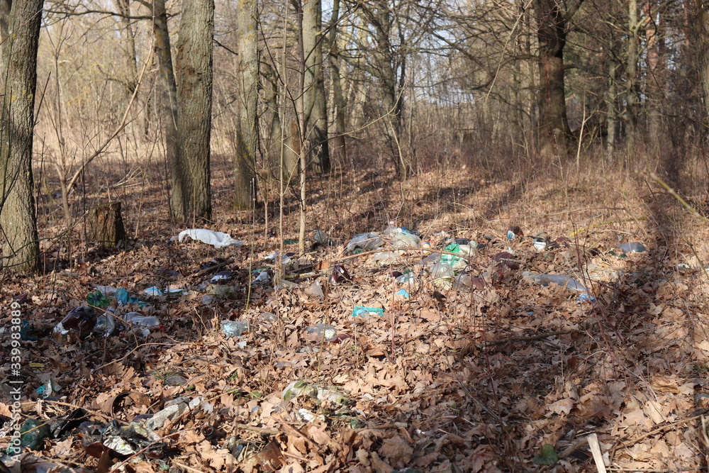Fototapeta premium Garbage in a spring forest