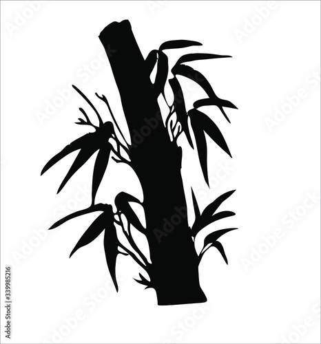 Fototapeta Naklejka Na Ścianę i Meble -  Bamboo. Vector. Ink image of bamboo branches and leaves. Oriental, chinese, japanese, korean style. Black and white image.