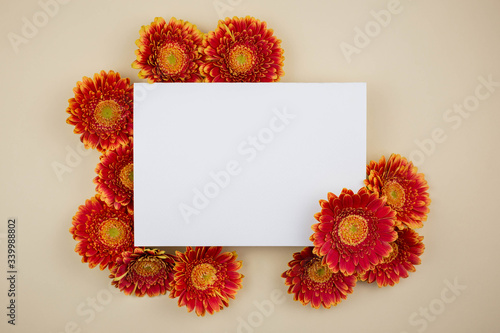 Flat lay composition with beautiful gerbera flowers and a blank card on a light beige background. Event Design Concept, Valentine's Day, Mother's Day, Wedding Day, Holiday Invitation. Copy space. 