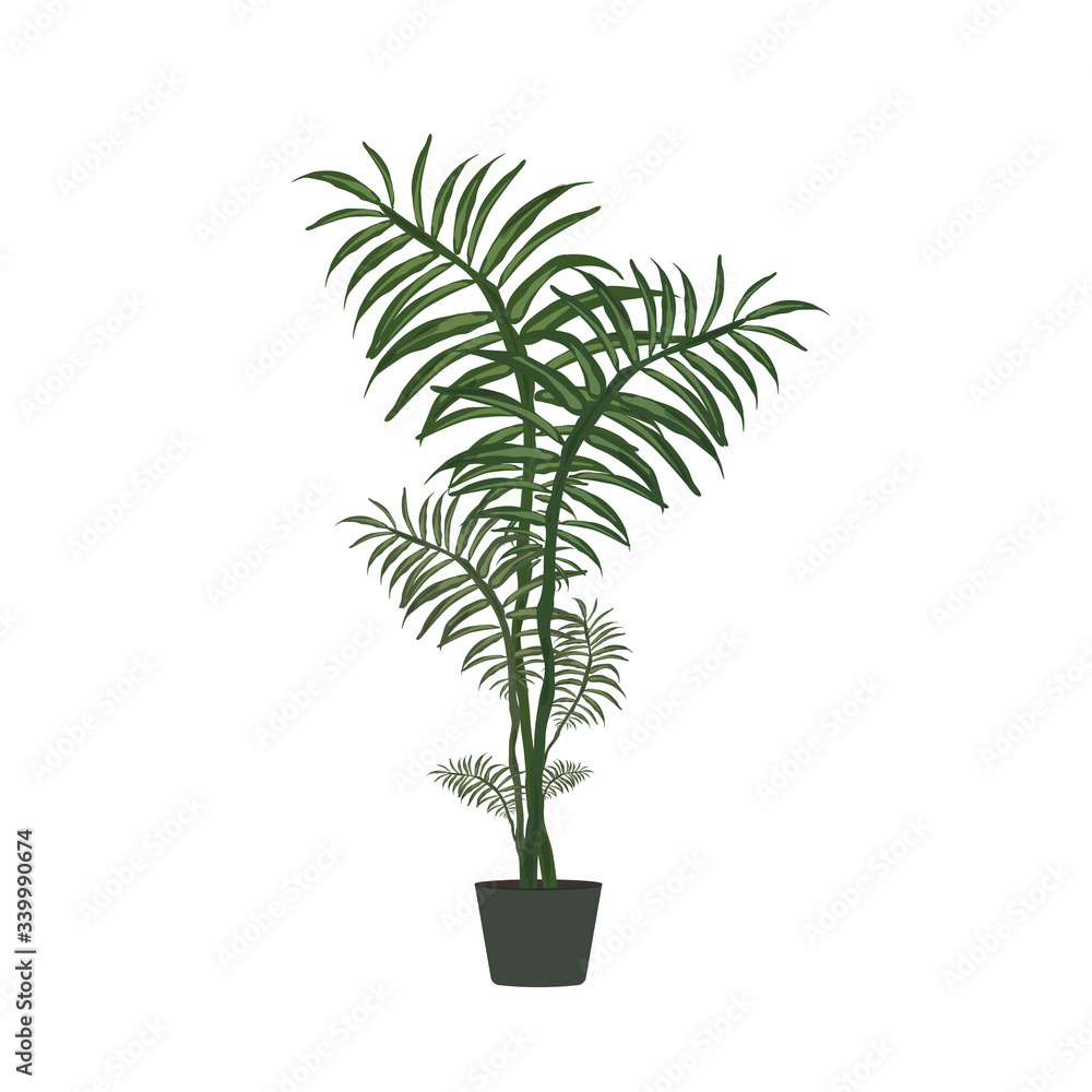 Large green houseplant. Isolated on a white background. Vector. Large green houseplant. Isolated on a white background. Vector.