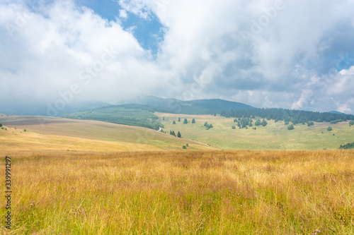 Lush Grassy Hills
