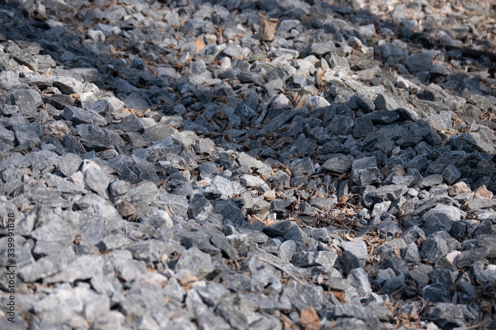 stones and foliage stones and foliage