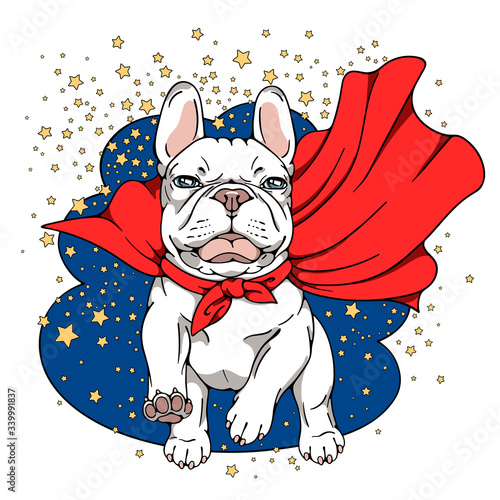 Funny white french bulldog in a superhero cape. Running dog.