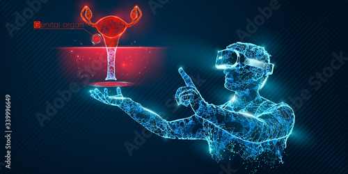 VR wireframe headset. Polygonal man wearing virtual reality glasses, with holographic of woman genitals organ. Science, diagnostics, virtual analytics, analysis. VR games. Thank you for watching