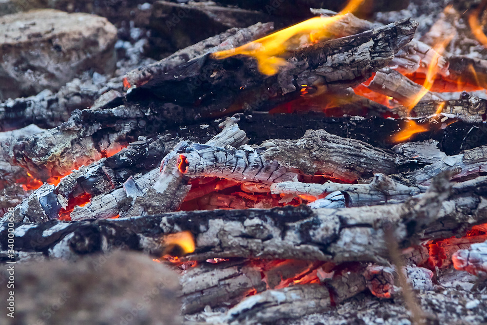 Details of charcoal for barbecue at picnic