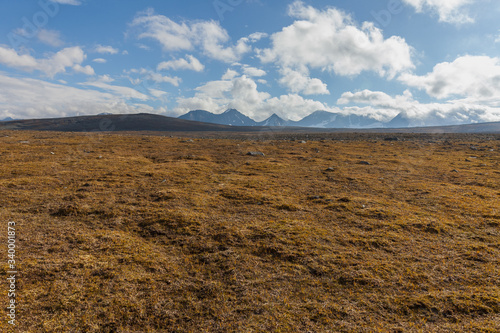 autumn view of Sarek National Park  Lapland  Norrbotten County  Sweden  near border of Finland  Sweden and Norway. selective focus