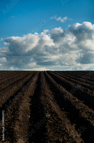 A freshly plowed soil field for a potato under a blue sky with clouds