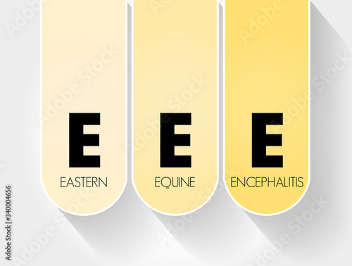 EEE - Eastern Equine Encephalitis acronym, medical concept background