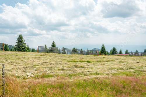 Meadow Fence and Sky