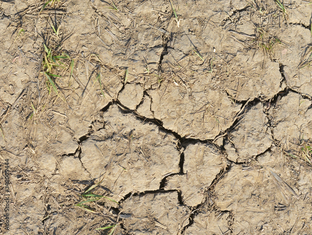 Fototapeta premium Dry Earth