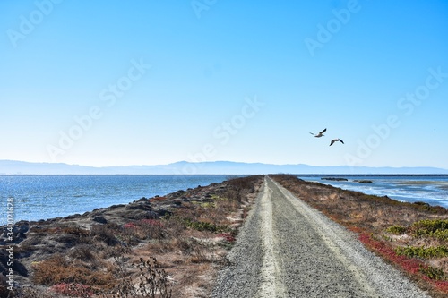 beach and sea walkaway