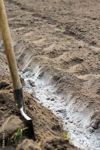 A shovel thrust into the ground near a dug and fertilized moat before planting potatoes