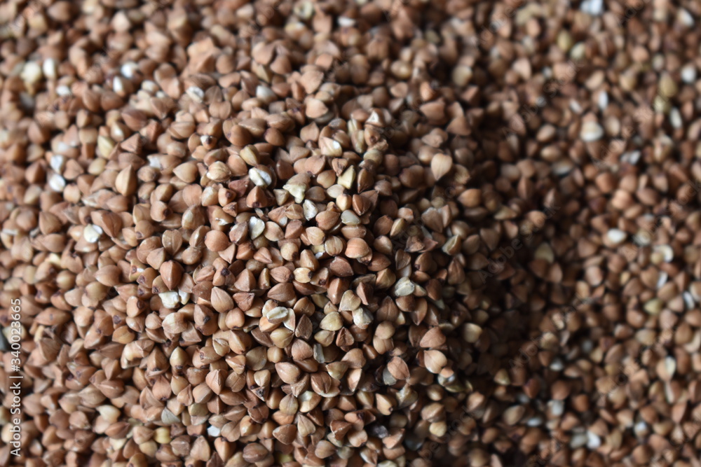 close up of buckwheat close up of buckwheat