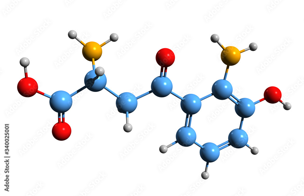 Obraz premium 3D image of 3-Hydroxykynurenine skeletal formula - molecular chemical structure of metabolite of tryptophan 3HK isolated on white background