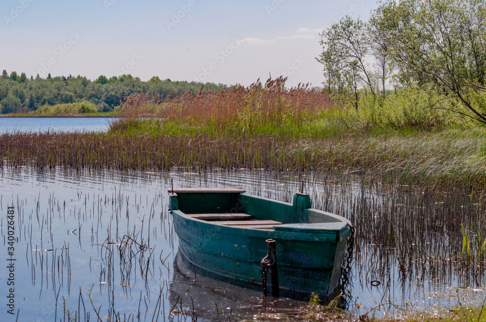 Wild shore of a beautiful lake, with boulders, grass, trees warm, sunny, spring day with slightly blurred borders Wild shore of a beautiful lake, with boulders, grass, trees warm, sunny, spring day with slightly blurred borders