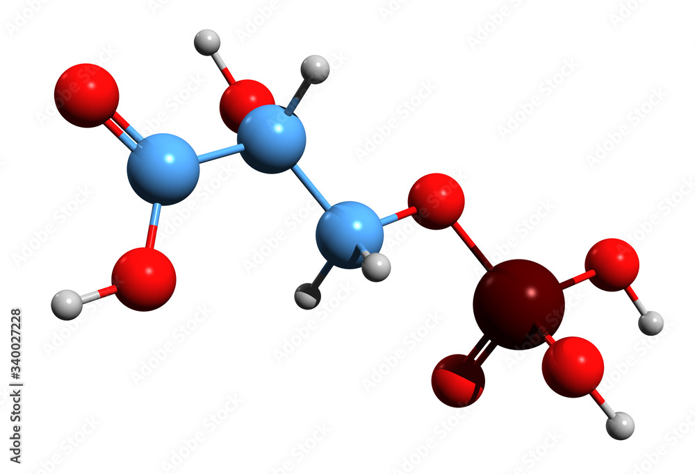 Obraz premium 3D image of 3-phosphoglycerate skeletal formula - molecular chemical structure of 3-Phosphoglyceric acid isolated on white background 