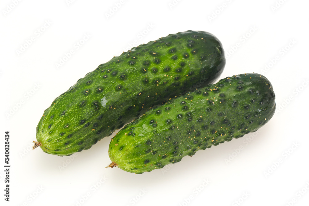 Ripe fresh green two cucumbers Ripe fresh green two cucumbers