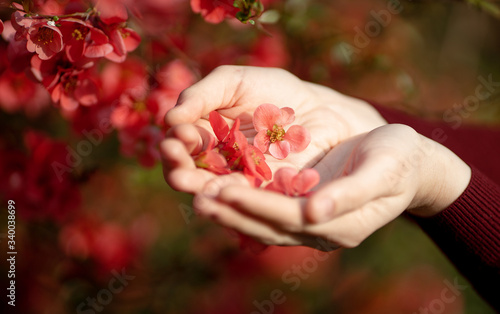 Konstfotografi red flower in hands