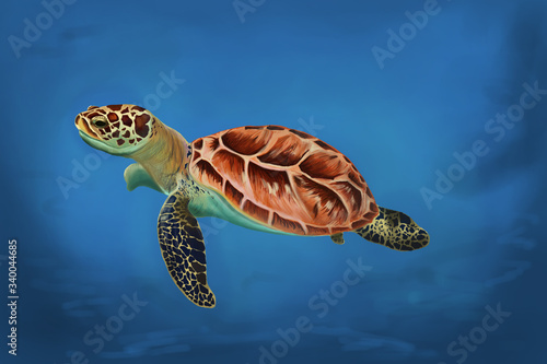 Realistic illustration of a turtle in an ocean