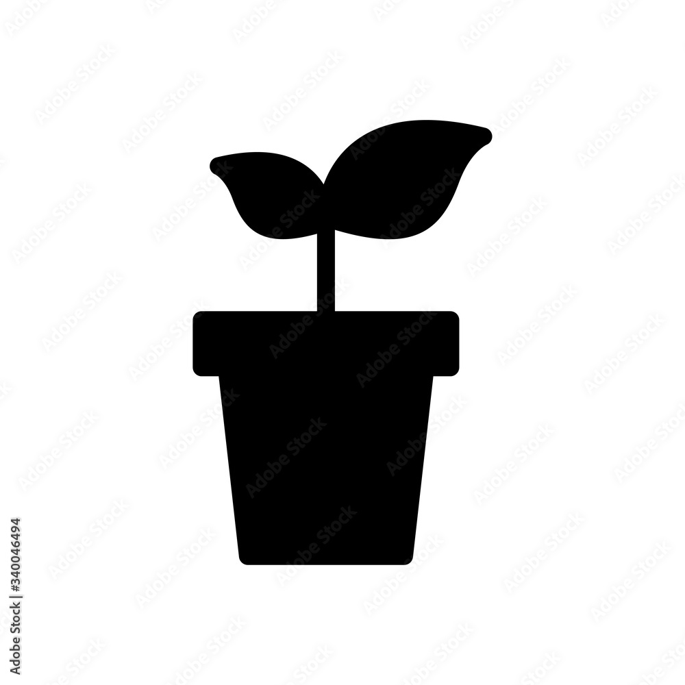 plant plant