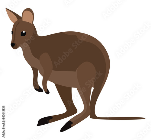 Wallbaby, illustration, vector on white background