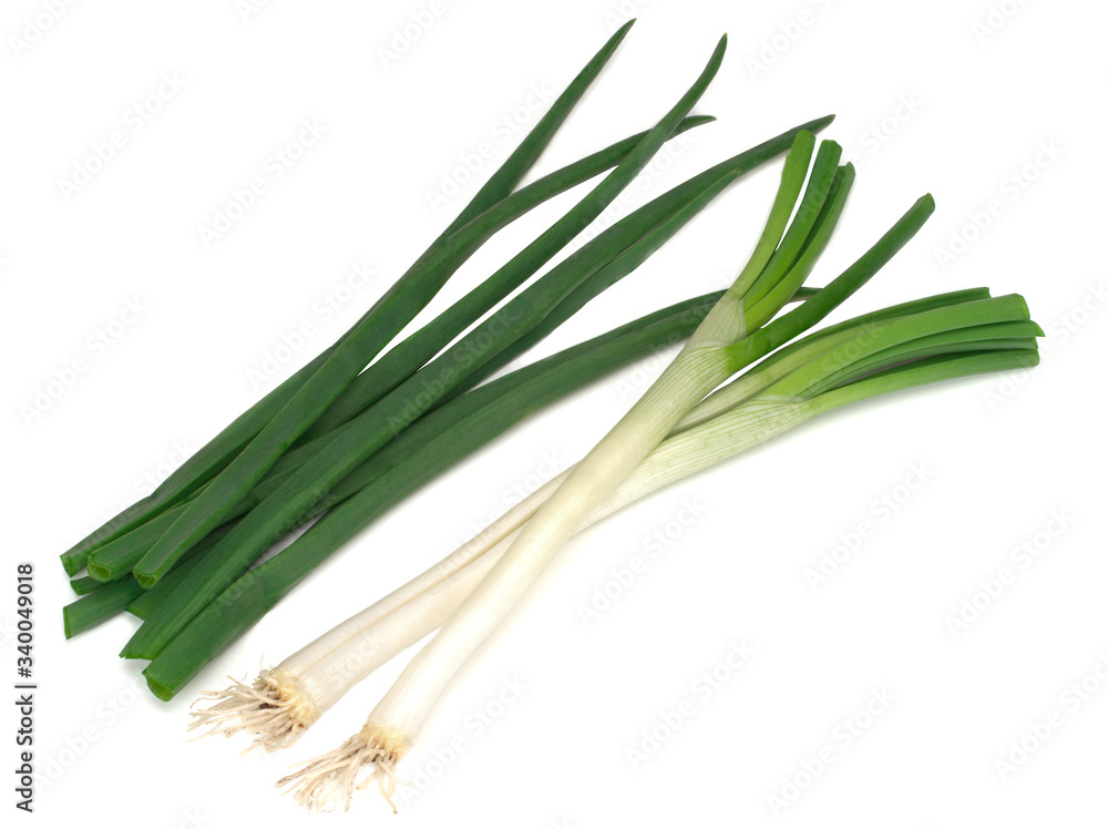 Fototapeta premium green onions isolated on a white background