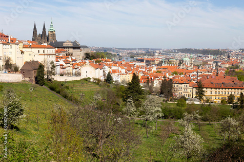 Spring Prague City with gothic Castle and the green Nature and flowering Trees from the Hill Petrin, Czech Republic