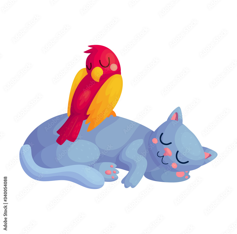 Parrot on sleeping cat Parrot on sleeping cat