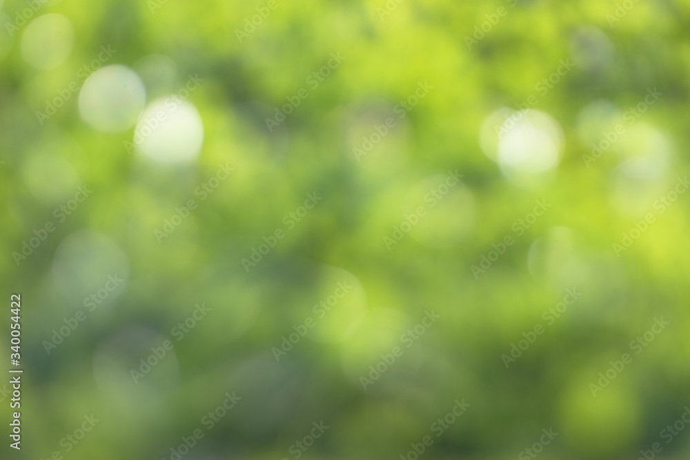 Green bokeh out of focus background. Soft light blur wallpaper