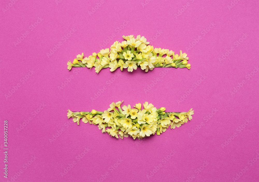 Creative layout with primrose on a bright pink background. Composition of blooming primula Spring concept greeting card. Flat lay. Creative layout with primrose on a bright pink background. Composition of blooming primula Spring concept greeting card. Flat lay.