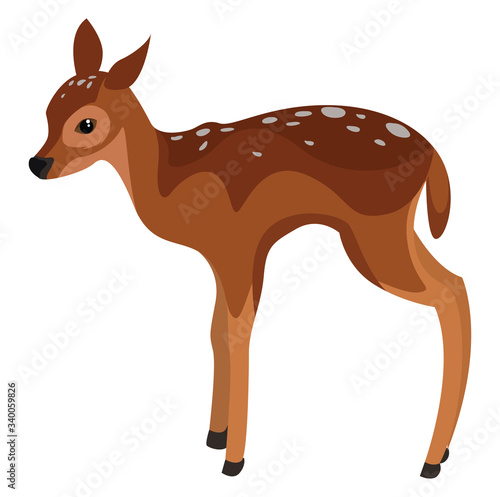 Fawn animal, illustration, vector on white background