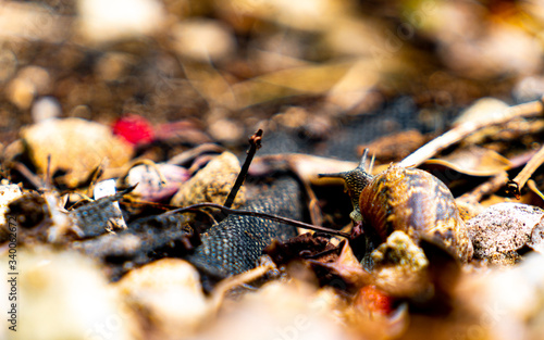 Searching for something different