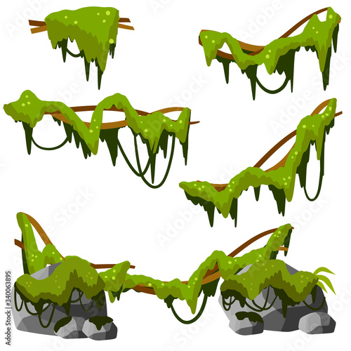 Set of branches with moss and green grass. Marsh plant. Part of the scenery of the jungle. swamp Stones with mold. bog vine of trees. Cartoon flat illustration