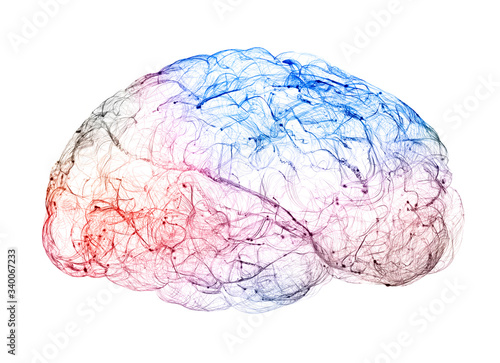 Принти на полотні View of the synapses