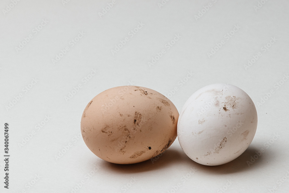 dirty eggs on a white background subject 2 eggs dirty eggs on a white background subject 2 eggs