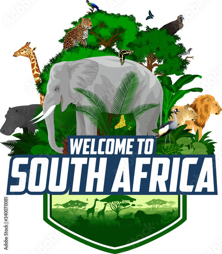 Photography vector south african emblem with animals with giraffe, elephant, lions, hippo, H