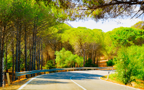 Empty road without cars and green forest in Sardinia reflex