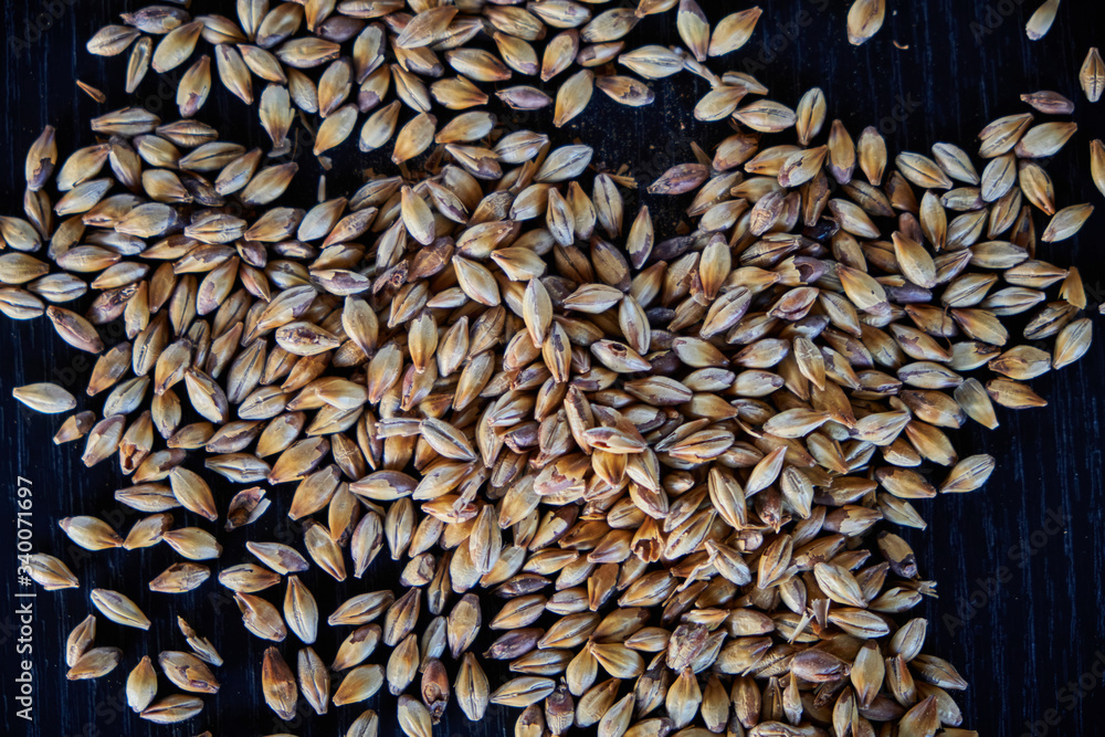 the special bitter beer and its components the special bitter beer and its components