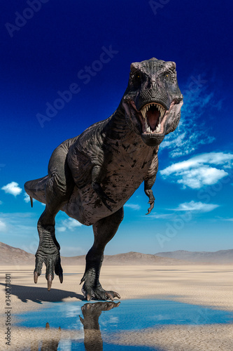 tyrannosaurus rex standing up on desert